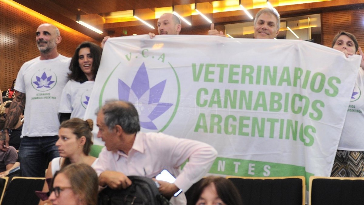 El sector ligado a la Veterinaria es otro potencial usuario del cannabis medicinal Foto Osvaldo Fantn