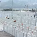 La pesadilla Covid de China: explosión de casos, violencia en calles y otra vez pánico mundial