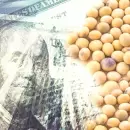 ¿La sequía de dólares se termina a partir del lunes?