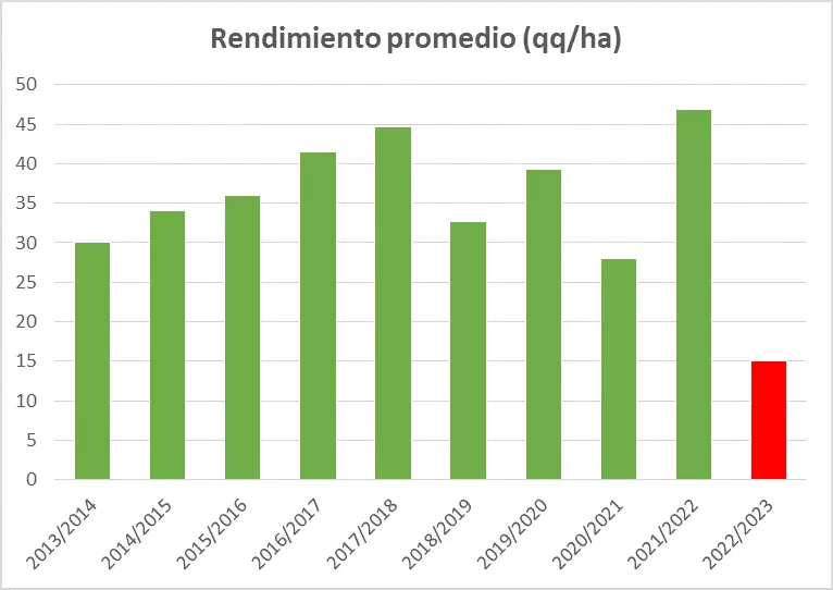 Trigo: desastre confirmado