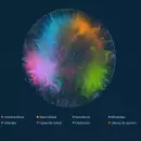 Con Big Data e inteligencia artificial, analizan la conversación digital en torno a la minería