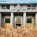 Ya se cosechó más del 50% del trigo de la que será una de las peores campañas por la sequía
