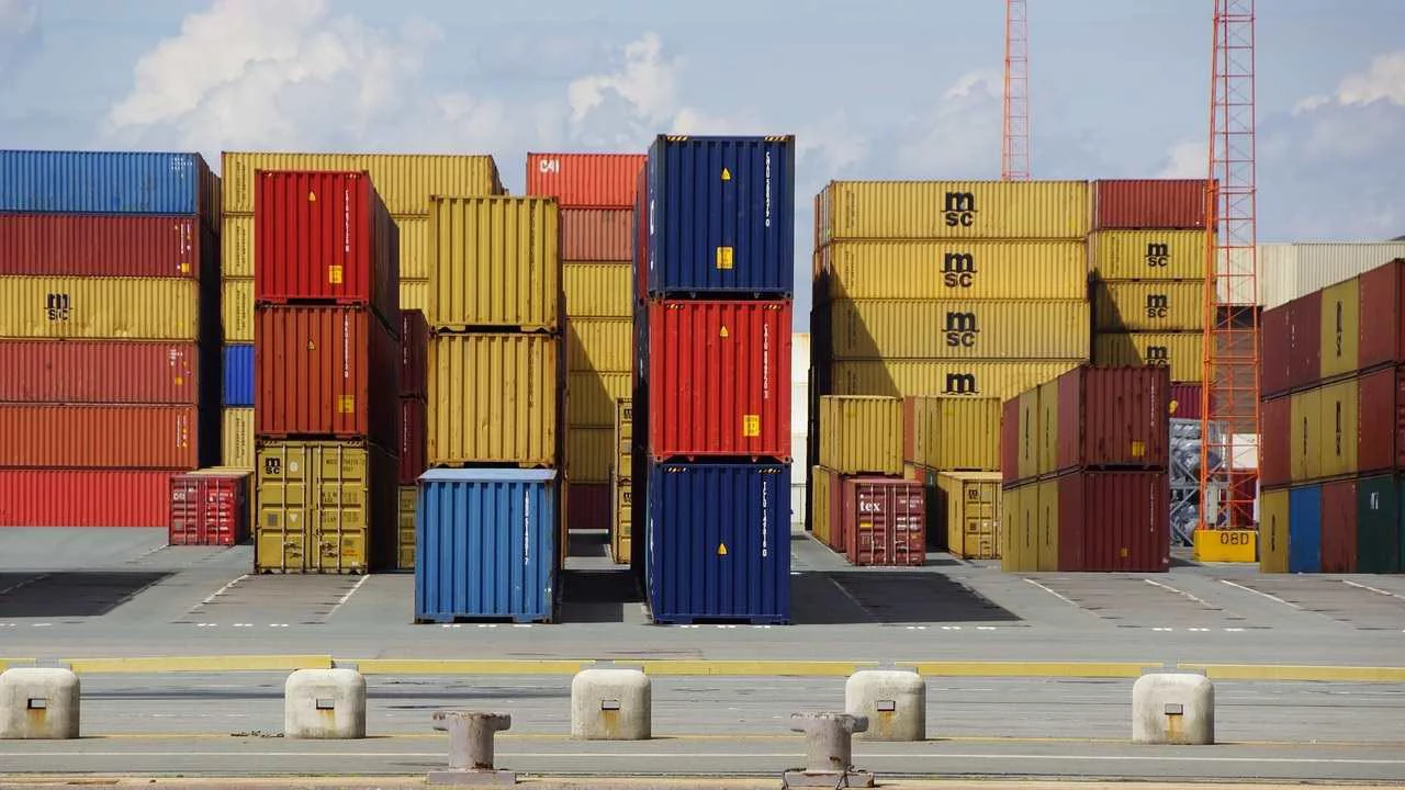 exportación