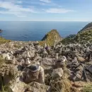 Compremos las Malvinas: ¿si Trump se plantea comprar Groenlandia, sería disparatado pensar en comprar las Islas Malvinas?