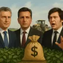 El caso de las retenciones agropecuarias