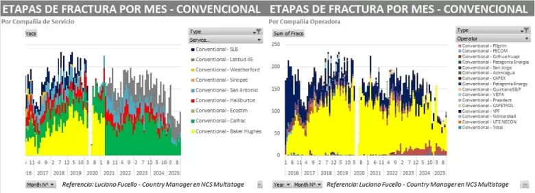 vaca muerta dos