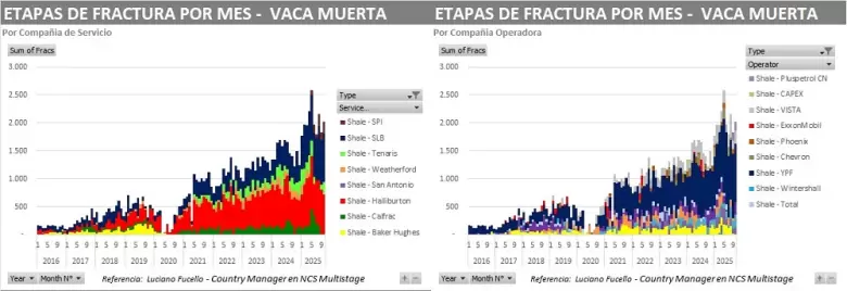 vaca muerta 1