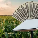 Las otras fuerzas del cielo: cómo los satélites de Elon Musk mejoran la productividad del agro, Vaca Muerta y la minería