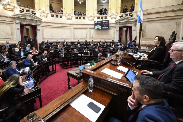 El Senado durante el debate del régimen penal juvenil