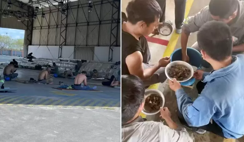 Un total de 224 empleados fueron rescatados por las autoridades laborales brasileñas.