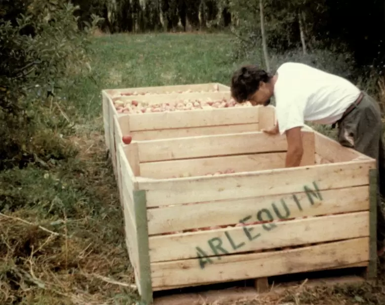 whatsapp image 2026-04-09 at 17.32.51