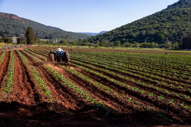 campo-agro